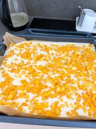 454385782_1038379877900368_5378823553282894362_n