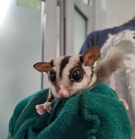 5d93297c-fd11-4c95-800a-29ea8224fc14