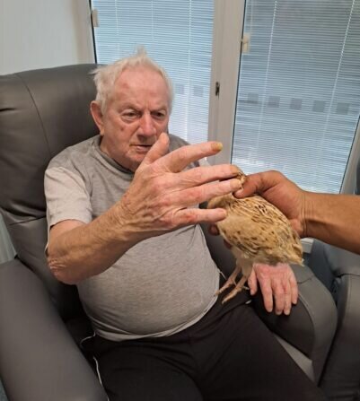 6ea0af65-930c-4f05-b634-9972622bab43