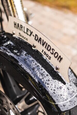 PHOTO-2024-08-02-12-26-36 2