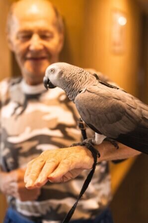 PHOTO-2024-08-19-06-32-16 2