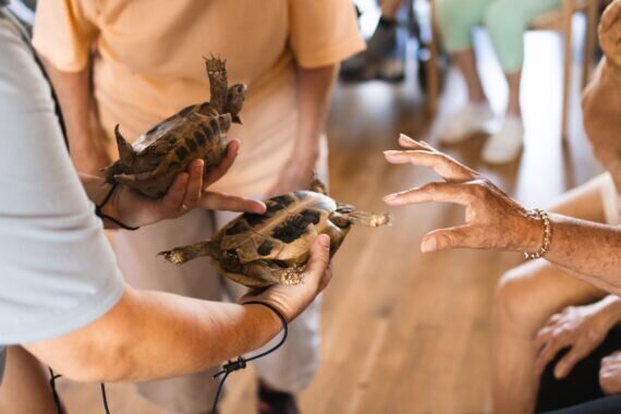 PHOTO-2024-08-19-06-32-22