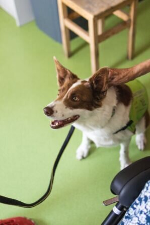 PHOTO-2024-08-21-18-28-56