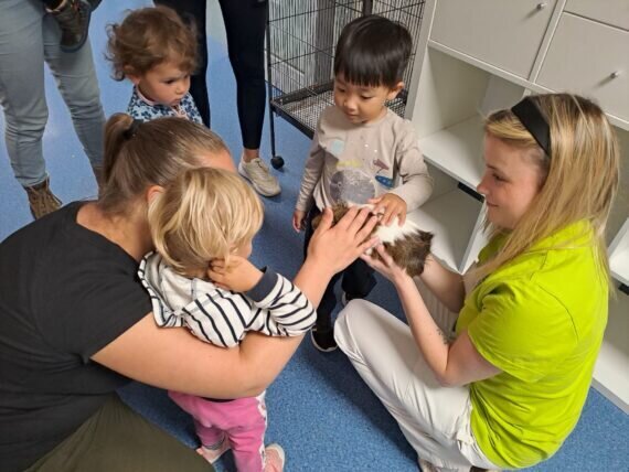 11e57716-7a9a-46a2-9566-cd013354b88e