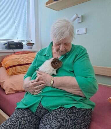 20fa102b-ed9f-4e7d-a3d4-efdea3586c98