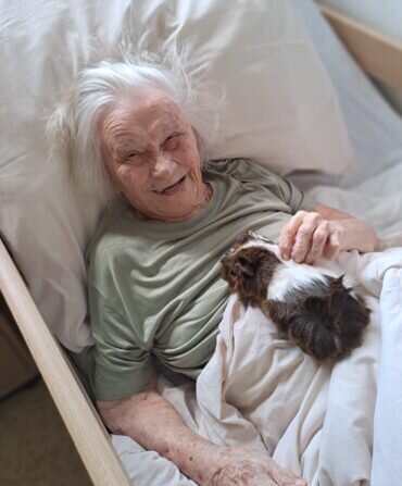 33b1aa50-df84-478a-b87d-ff4394f0ed1a