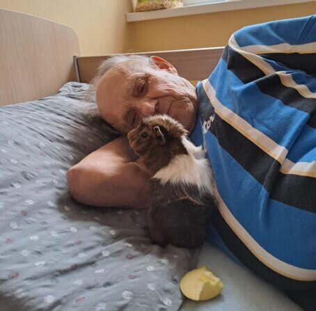 9114c1e2-8b94-4bf6-8407-9696b21e14d9