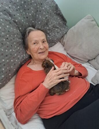 985d14db-af34-429e-8f8a-19308d0f6138