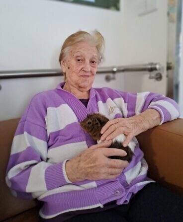 9ee9a044-af6b-4506-9760-06470e133fab