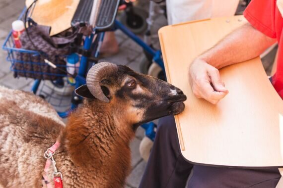 PHOTO-2024-09-04-12-35-43 2