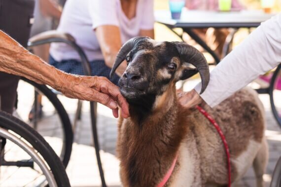 PHOTO-2024-09-04-12-35-45