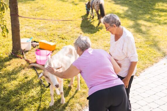 PHOTO-2024-09-04-12-35-46 2