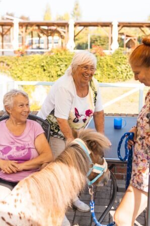 PHOTO-2024-09-04-12-35-49