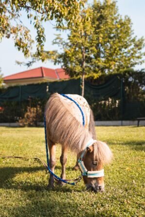 PHOTO-2024-09-04-12-35-51