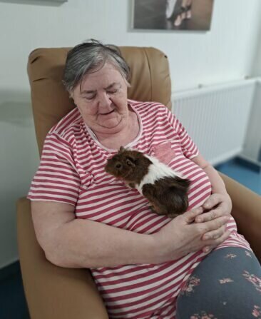 e5c456ee-47e1-469b-a209-5fc1470c356b