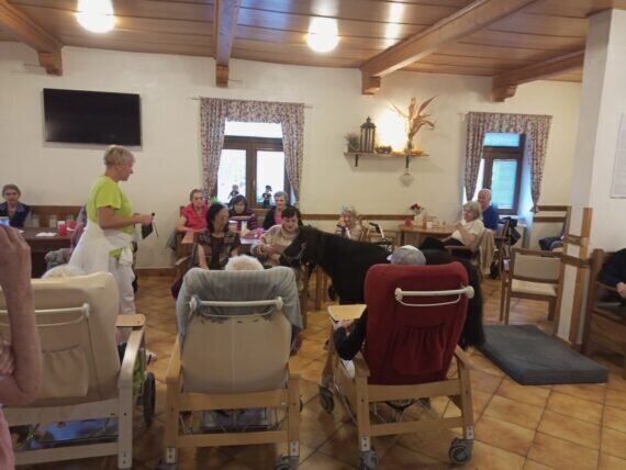 IMG_20240930_132945_832