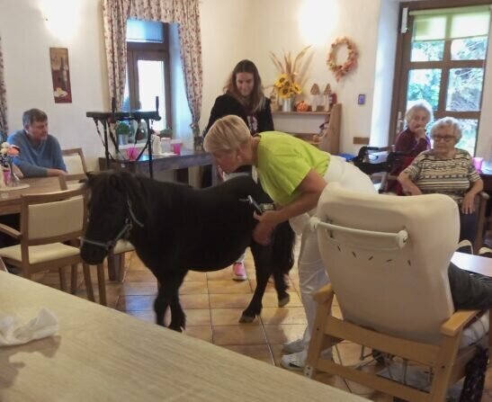 IMG_20240930_133000_298