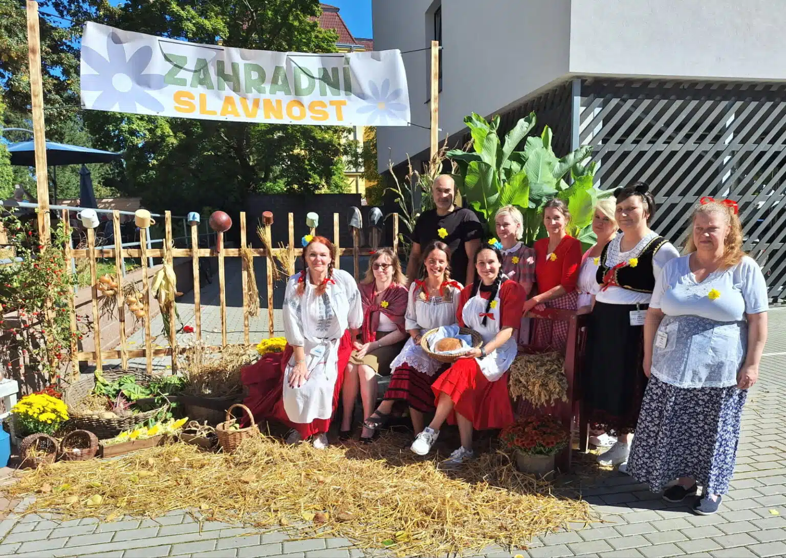 Senevida Liberec - aktivizační činnost