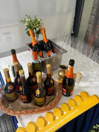 7374daab-029c-498e-a5c9-66ee498ee3c9-1152x1536