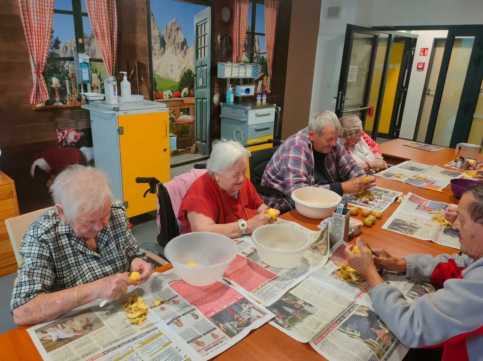 Senevida Havířov - aktivizační program