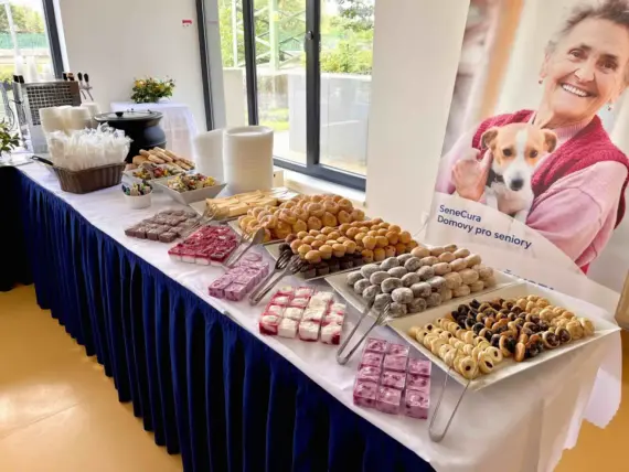 Zahradní slavnost v antickém stylu v Senevida Plzeň