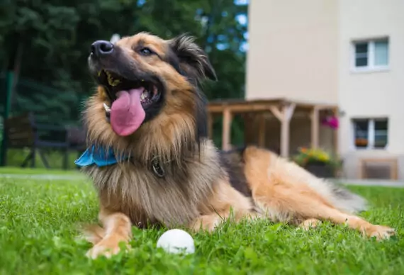 AC_SvobodaNUpou-3450