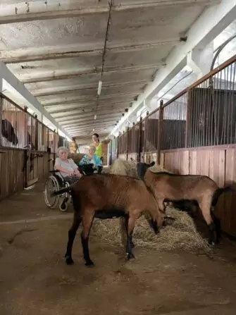 procházka ke koním (10)