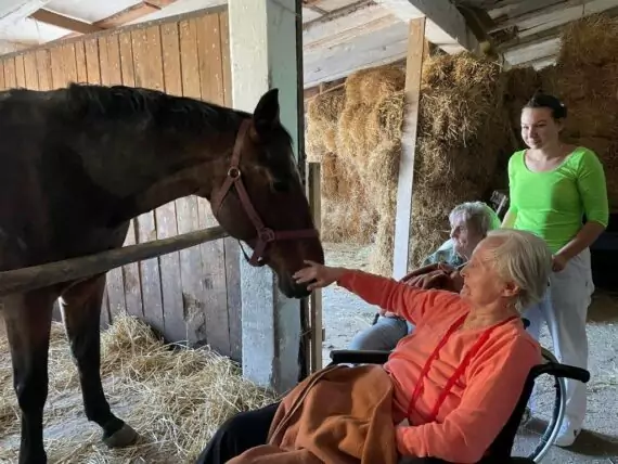 procházka ke koním