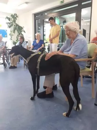 FB_IMG_1672780355231