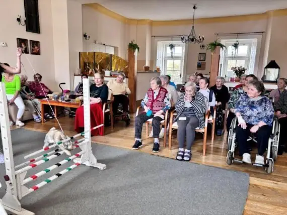 2024 03 11 králičí hop (3)