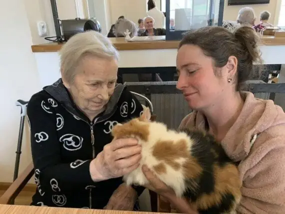 2024 03 veselý poníkov (4)