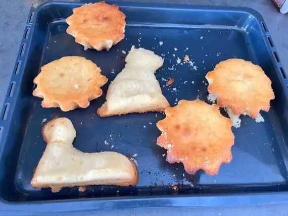 432195372_729770955953645_672375918315117777_n