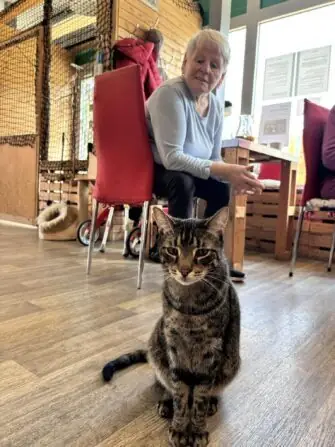 433910444_1761272951063888_8855502071839337554_n