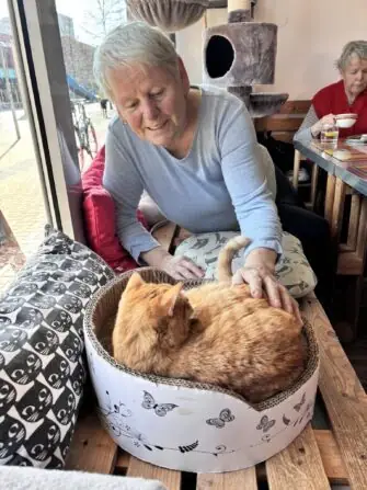 434026215_7268437139935737_1948057803874914560_n