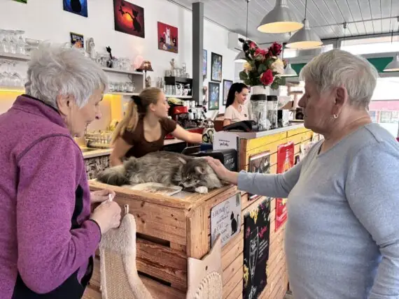 434050939_760205112747166_1462373626064838992_n