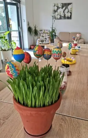 420243030_399641669445494_5512405352295123506_n