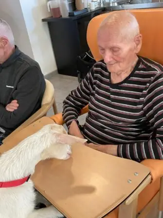 420525711_405912978818363_3878026026452620223_n