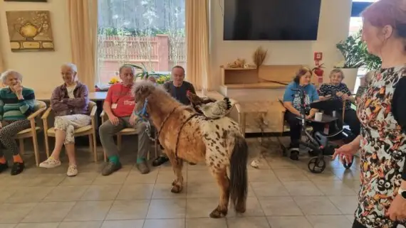 424850854_405912285485099_7766095060392626754_n