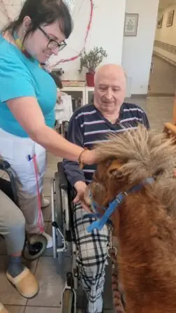 434593269_405911375485190_5146228195139580872_n