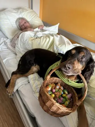 received_1770604813435117