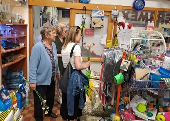 6d32b50e-b893-4fd0-867a-eb1ee29b1135