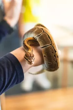 PHOTO-2024-05-21-18-13-08 2