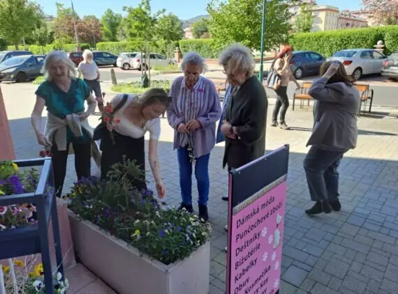 d07496bc-69fa-4a89-92a0-f5f678d0d14b