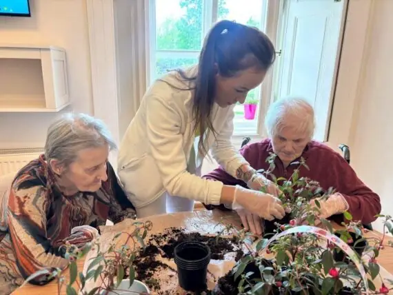 výzdoba u dveří (5)