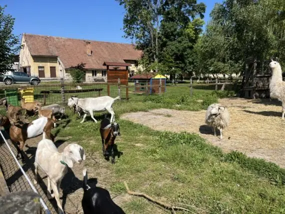 448769552_2159522057751302_5105107700444117120_n