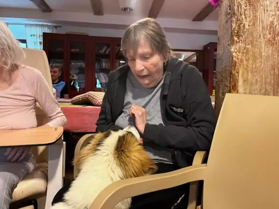 IMG-20240524-WA0001-570x428