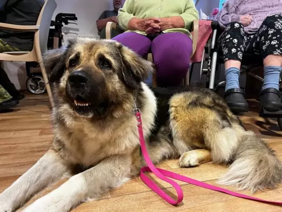 IMG-20240524-WA0002-1-570x428