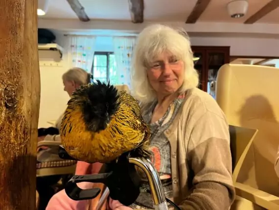 IMG-20240524-WA0003-1-570x428