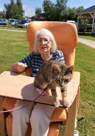 448889245_453816660694661_651088696974985959_n