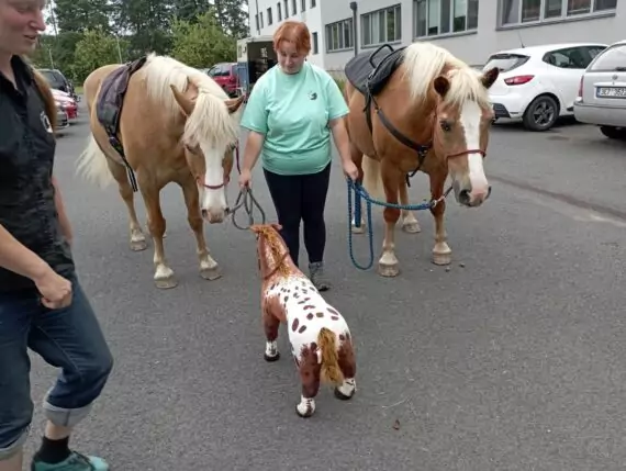 448928204_879691650864537_919530460048425874_n